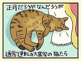 雨ニモマケズ、正月デモ変ワラズ　やっぱ、猫じゃけぇ(52)