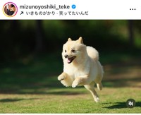 水野良樹インスタグラム＠mizunoyoshiki_tekeより