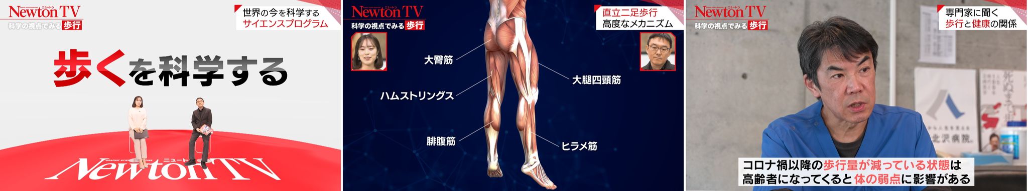 NewtonTV_画像1