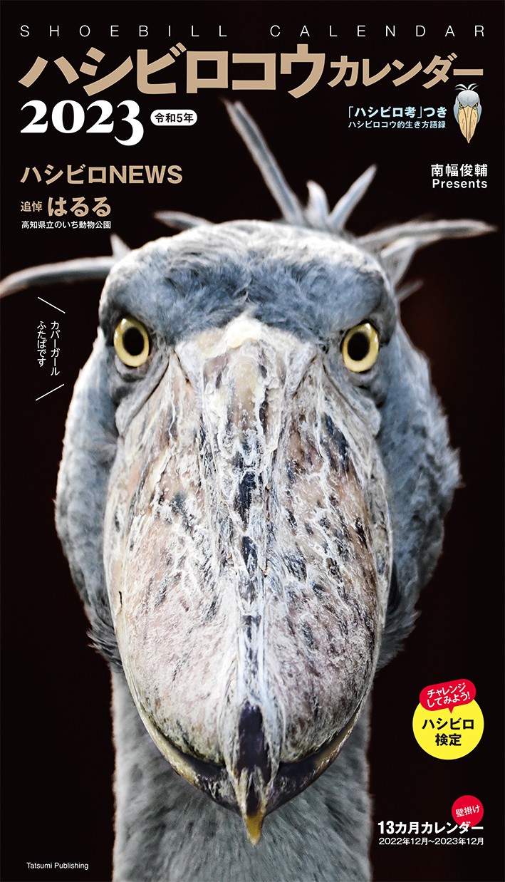 大きなクチバシ ペリカンの仲間 怪鳥ハシビロコウの魅力満載カレンダーが好評 よろず ニュース