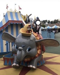 ずんだ餅さんは、障害者手帳の申請を考える段階にも至れない聞き取りの悩みを抱えている