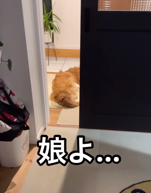 玄関前にいるのは？（飼い主のママさん提供、Instagramよりキャプチャ撮影）