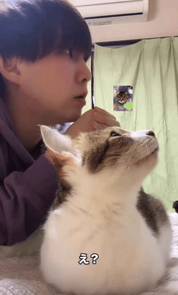 急にキョロキョロする猫ちゃんに、飼い主さんも異変を察知（画像提供：しぶけんさん）