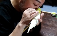 いいちこインコさんからはいい香りがしたのだとか（提供：いいちこインコの飼い主＠花沢りん吉さん）