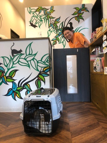 WANBOの猪野わかなさん