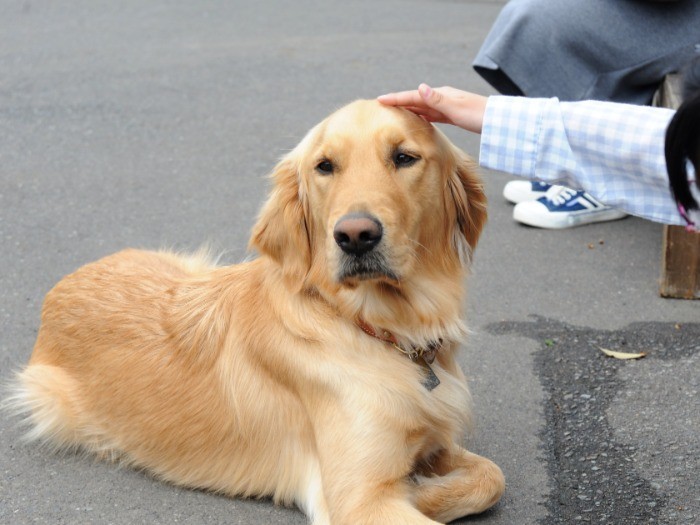 子どもにも人気のアンディー