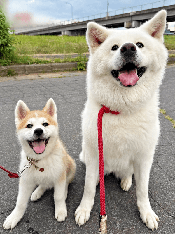 笑顔がキュートな（左から）縁ちゃん、姫ちゃん（画像提供：姫ちゃん縁ちゃん）