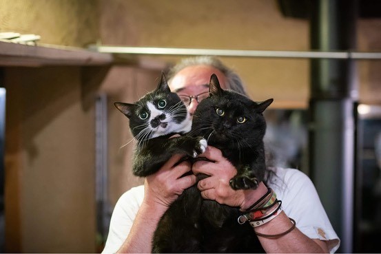 ケガで前脚を切断した元ボス猫 百戦錬磨の風貌だけど、超甘えん坊に