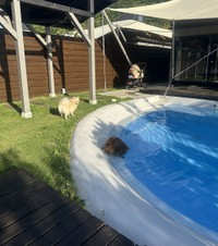 ああっ…（画像提供：ミルモとポン！さん）