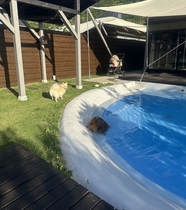 ああっ…（画像提供：ミルモとポン！さん）