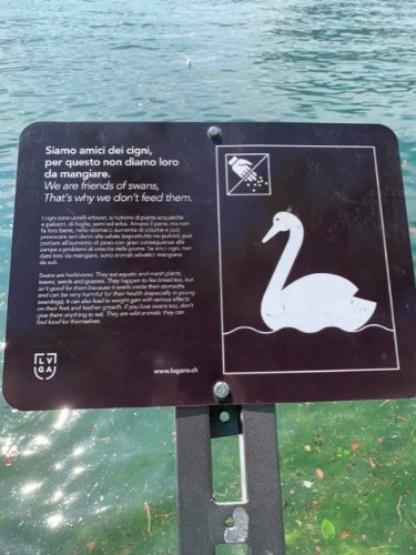 現地の方はすでに認知があるのでしょうね。観光客向けに伝えているのでしょう。We are friends of swans という書き出しも素敵