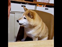 「食べる？」 聞かれた瞬間、今までにない高い声が出たゆずさん（画像提供：ゆず9 ぽんず6さん）