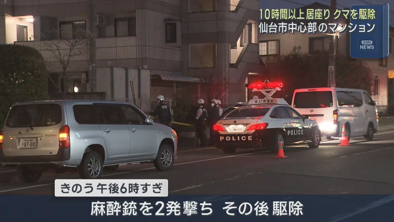 仙台市中心部に１０時間以上居座ったクマ　１９日夜に駆除