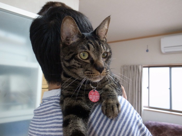 幸せになったヤト