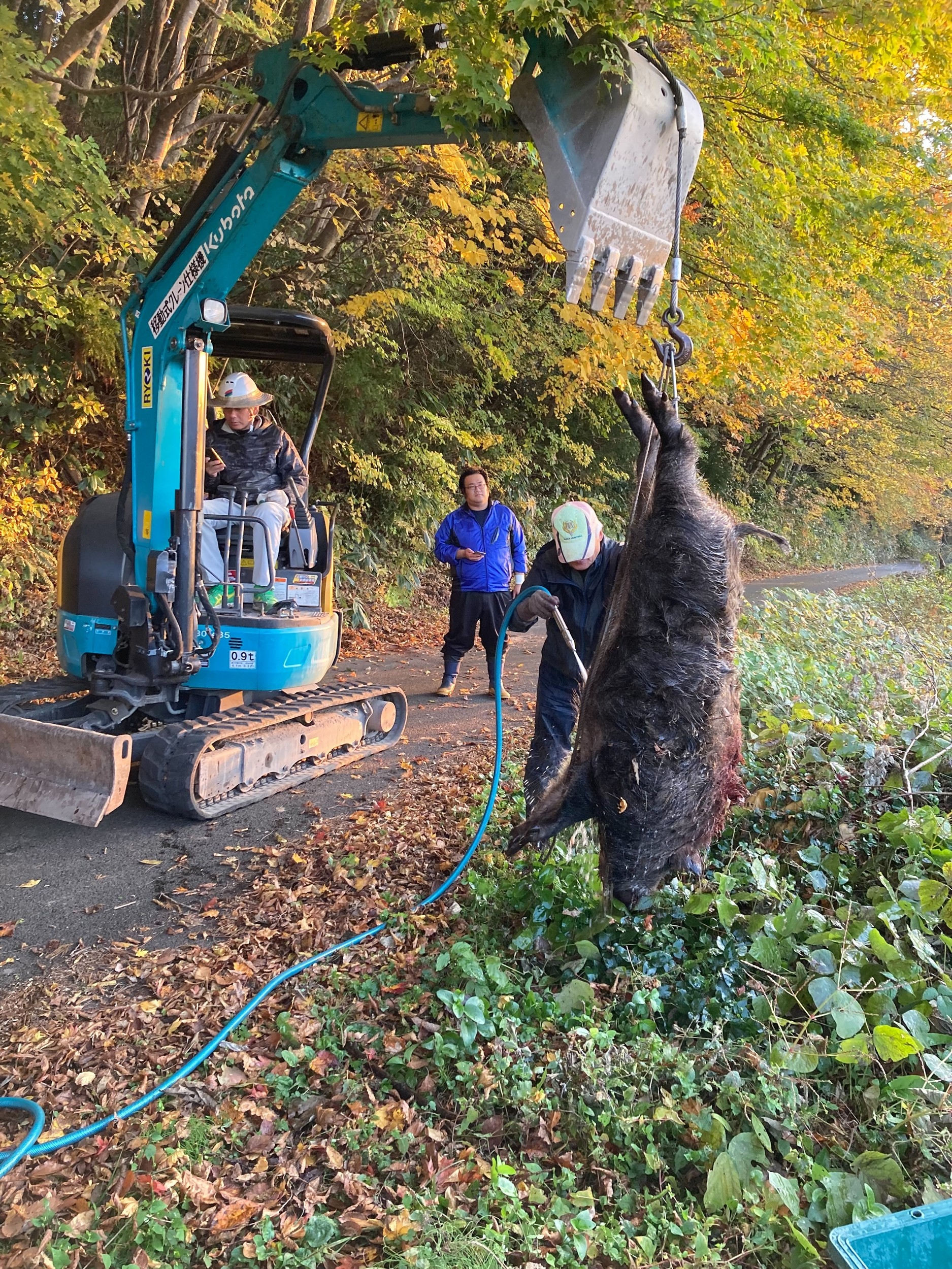 もののけ姫」に出てた!?巨大イノシシの異例な捕獲劇 200キロ超 もののけ姫」に出てた!?巨大イノシシの異例な捕獲劇 200キロ超