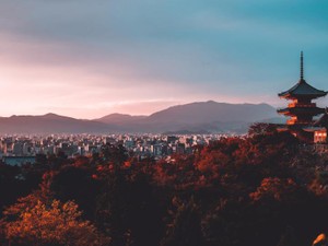 文章を書くことが大嫌いな私は、就職のためにエントリーシートを書く