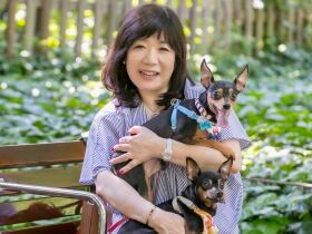 ガクンと音をたてるかのような急激な変化…　17歳目前の老犬「ココ」と向き合う