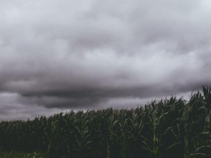 父が「塾代なんていらないだろ！保険を崩せ！」と言った夜、父を家族と思わなくなった