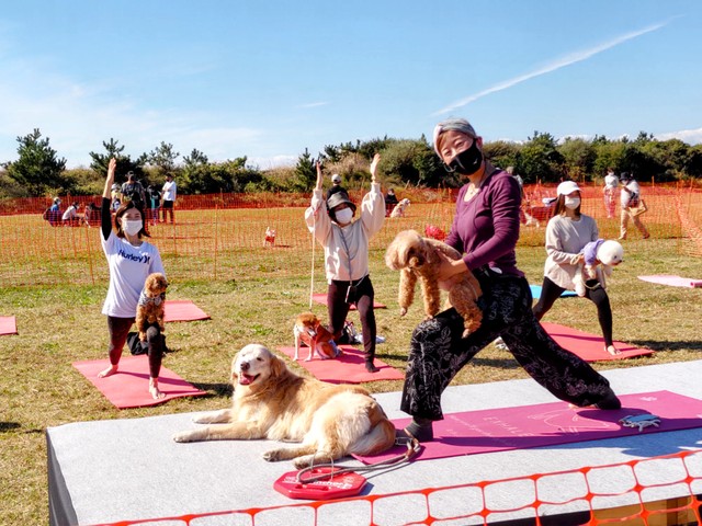 ドッグヨガで楽しそうに英雄ポーズを取る西村さんら