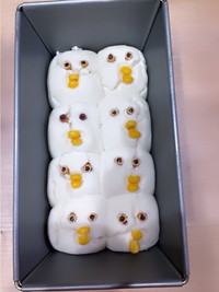 ガンギマリヒヨコパン（提供：₍ᐢ‥ᐢ₎さん）