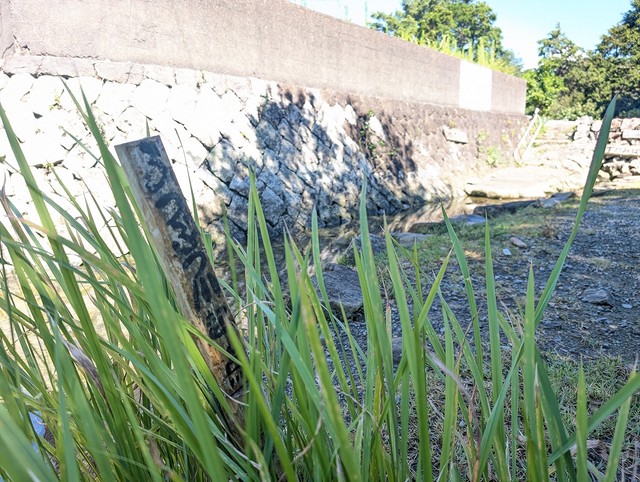 「ぶつぶつ川起点」の表示もある（画像提供：那智勝浦町役場）