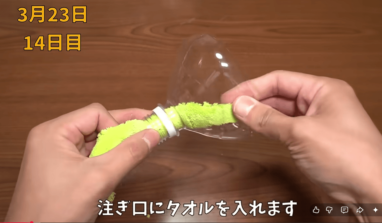 タオルの毛細管現象を利用し、常にちょうどいい水量補給される仕組み　画像提供：のりんごさん