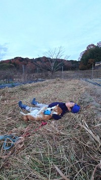 山に囲まれた畑で、柴犬と子どもが並んでお昼寝（@farm_docan）提供