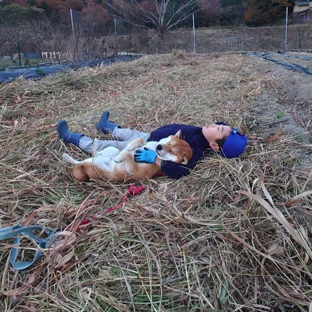 山に囲まれた畑で、柴犬と子どもが並んでお昼寝（@farm_docan）提供