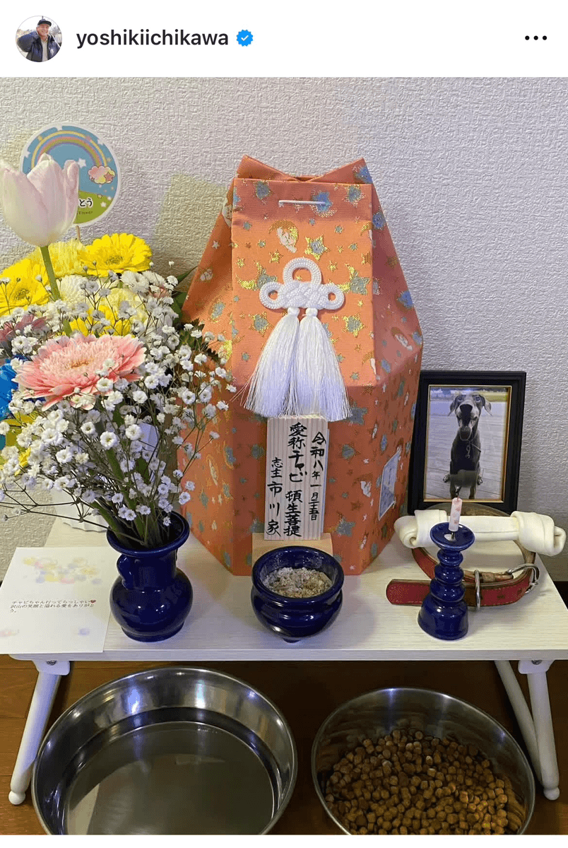 市川欣希 (@yoshikiichikawa)さんのインスタグラムより