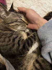 距離が近すぎて、かわいい写真が撮れないこともしばしば