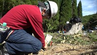 花粉が少ないスギの苗を植樹　地域住民らが森林保全活動　岡山・新見市
