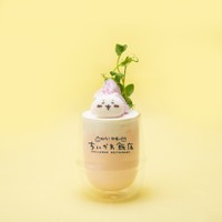 温泉風ホット杏仁ミルクマシュマロ付（1100円）　(C)nagano / chiikawa committee