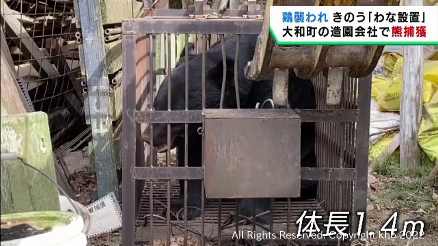 宮城・大和町の造園会社敷地内で熊捕獲 飼育の鶏が被害を受けわな設置