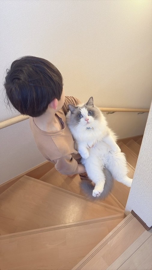 【今】ひとまわり大きくなったルカくんと息子さん。抱っこ姿も頼もしくなりました（画像提供：LUCA ラグドールさん）