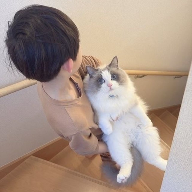 【今】ひとまわり大きくなったルカくんと息子さん。抱っこ姿も頼もしくなりました（画像提供：LUCA ラグドールさん）