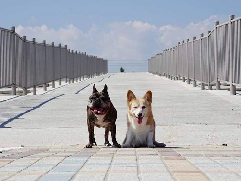 今の激アツ店長があるのは、君たちのおかげだね（店長提供）