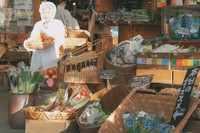 地野菜、地元メーカー製の調味料、乾物、スパイスやパスタなど、たくさんの商品が並ぶ「旬の蔵 dezi-na」。食を通じて「真庭」を知ってもらうショップ（真庭あぐりガーデン提供）