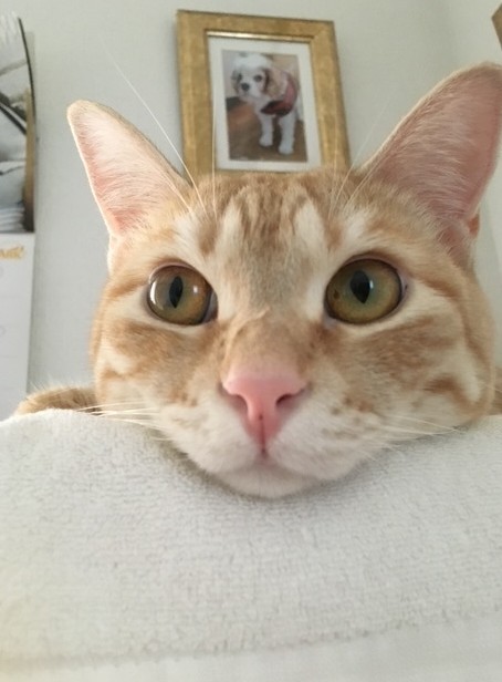左目に小さなシミが…