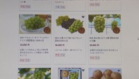 岡山県のふるさと納税サイト