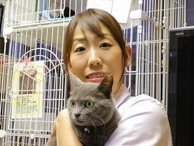 野良猫の現実、子どもたちに知ってほしい　絵本を小中学校に寄贈
