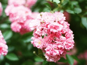 仕事は人生の責任までは取ってくれない。そう気づいた四年目の春