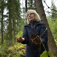 ベストセラー「マザーツリー」著者が語る地球の未来　危機の森林で私たちができること