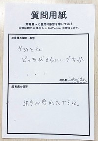 絶妙な切り替えし！さすがです（画像提供：道の駅ウミガメ公園【公式】）