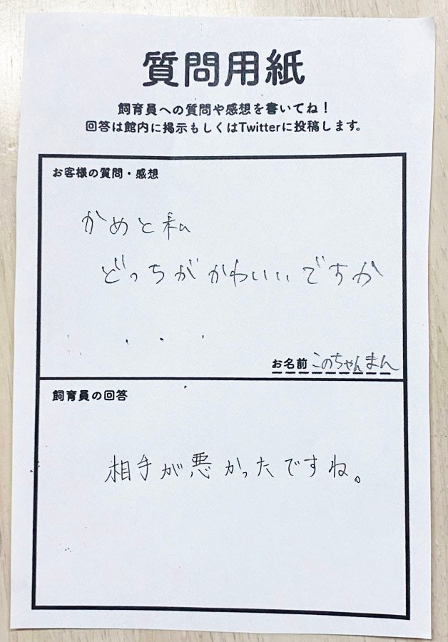 絶妙な切り替えし！さすがです（画像提供：道の駅ウミガメ公園【公式】）