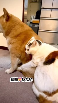 なんと…バッグハグ！（ぽしょこさん提供、Instagramよりキャプチャ撮影）