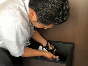 往診専門の動物病院が急増　通院が難しい犬、猫を自宅で診療