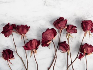 これから私と別れる人々よ。地縛霊にならぬようちゃんと伝えて下さい