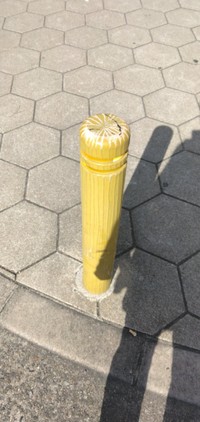 あなたがぶつかったのは彼です（ぱぶぅさん提供）