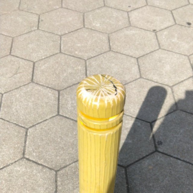 あなたがぶつかったのは彼です（ぱぶぅさん提供）