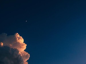 大病を患う父。あなたの母や兄は、気にかける様子も見せないけど？